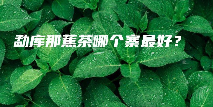 勐库那蕉茶哪个寨最好？插图