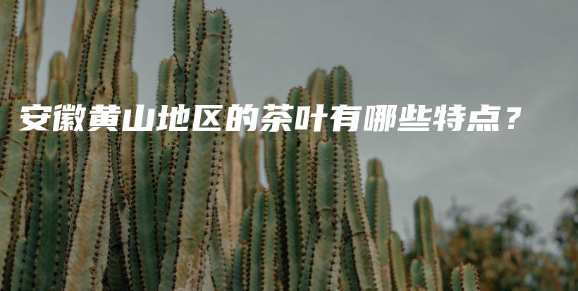 安徽黄山地区的茶叶有哪些特点？插图