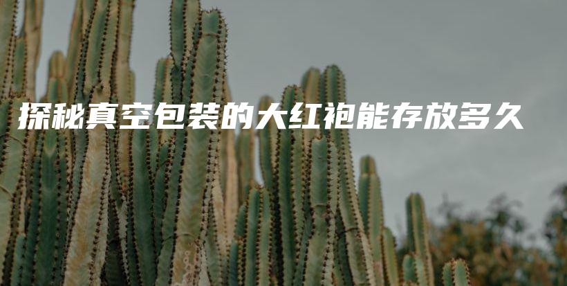 探秘真空包装的大红袍能存放多久插图