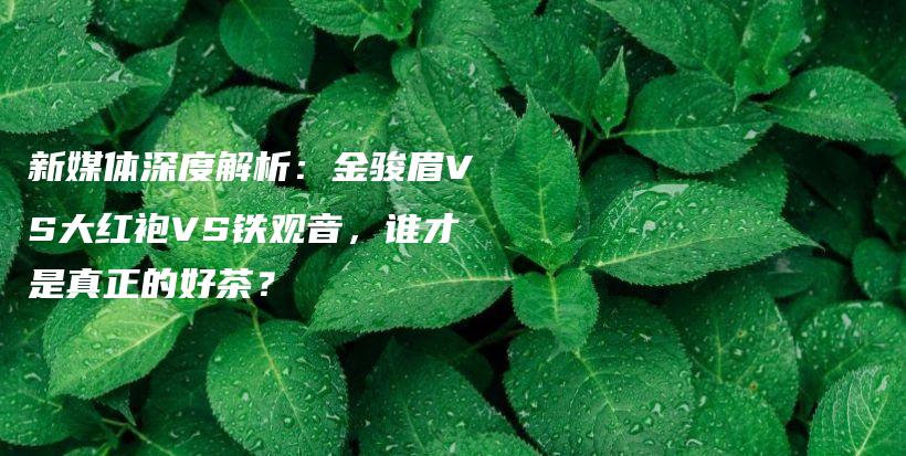 新媒体深度解析：金骏眉VS大红袍VS铁观音，谁才是真正的好茶？插图