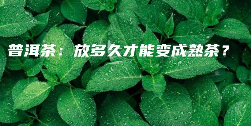 普洱茶：放多久才能变成熟茶？插图