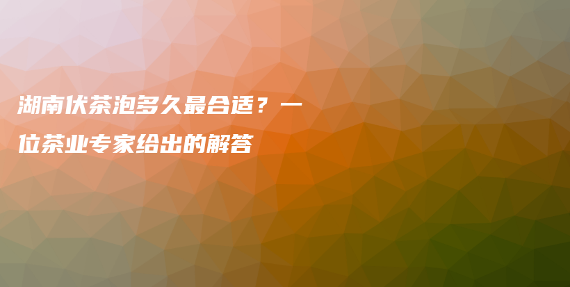 湖南伏茶泡多久最合适？一位茶业专家给出的解答插图