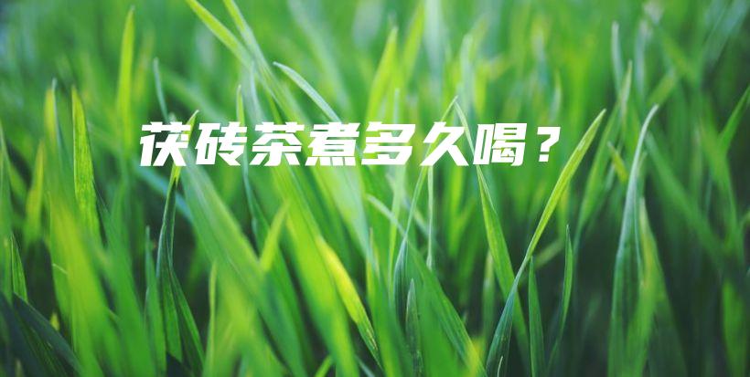 茯砖茶煮多久喝？插图