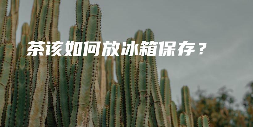 茶该如何放冰箱保存？插图