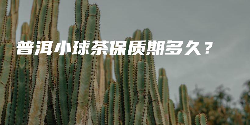 普洱小球茶保质期多久？插图