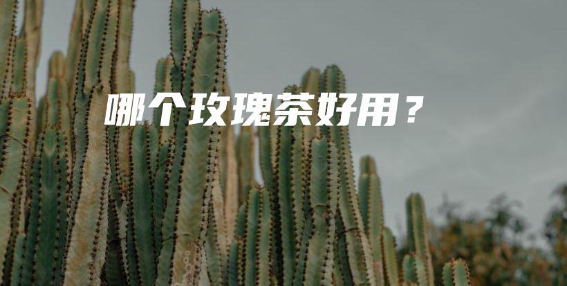 哪个玫瑰茶好用？插图