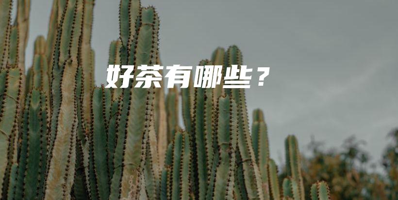 好茶有哪些？插图