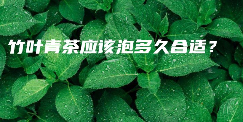 竹叶青茶应该泡多久合适？插图