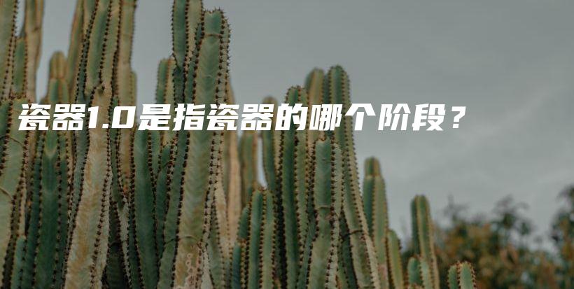 瓷器1.0是指瓷器的哪个阶段？插图