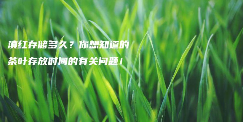 滇红存储多久？你想知道的茶叶存放时间的有关问题！插图