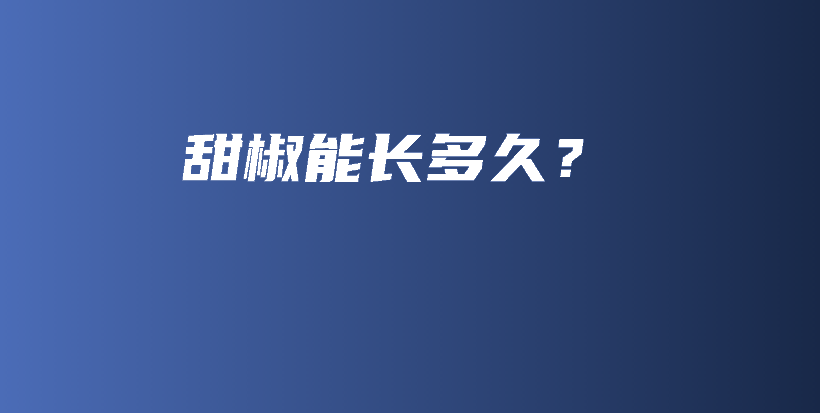 甜椒能长多久？插图