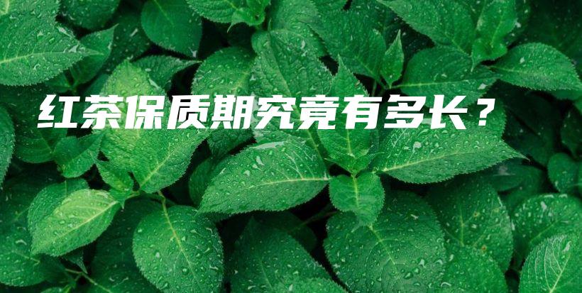 红茶保质期究竟有多长？插图