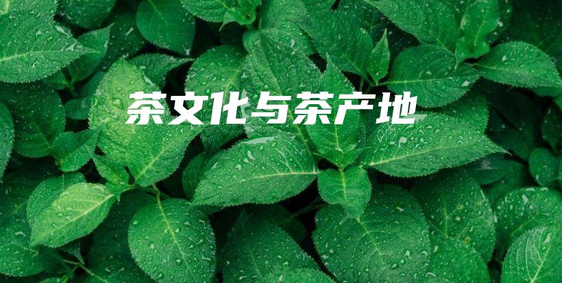 茶文化与茶产地插图