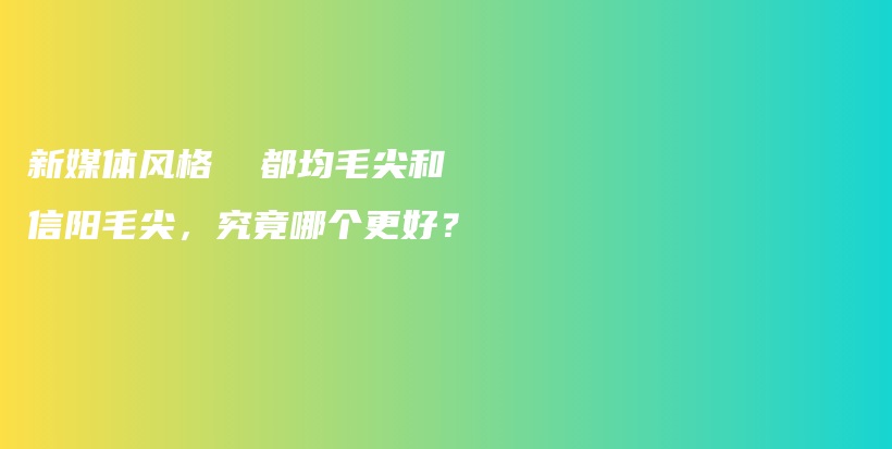 新媒体风格  都均毛尖和信阳毛尖，究竟哪个更好？插图