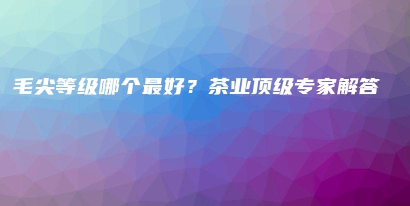 毛尖等级哪个最好？茶业顶级专家解答插图