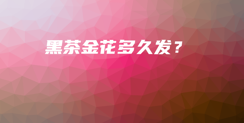 黑茶金花多久发？插图