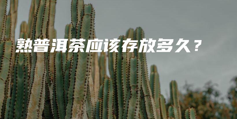 熟普洱茶应该存放多久？插图