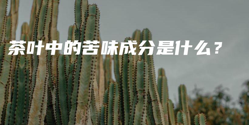 茶叶中的苦味成分是什么？插图