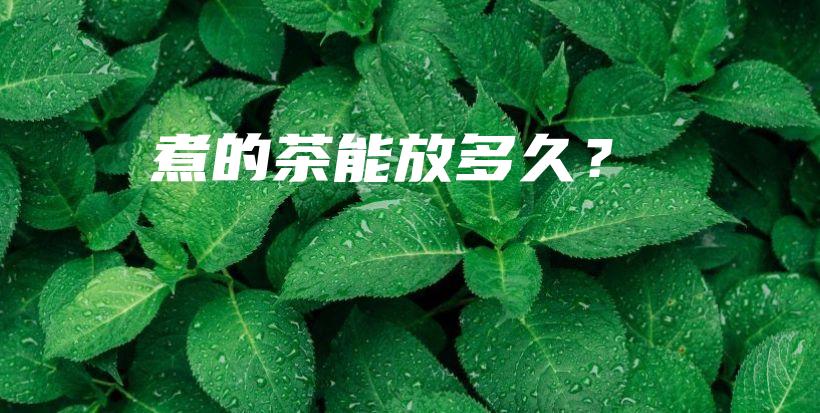 煮的茶能放多久？插图