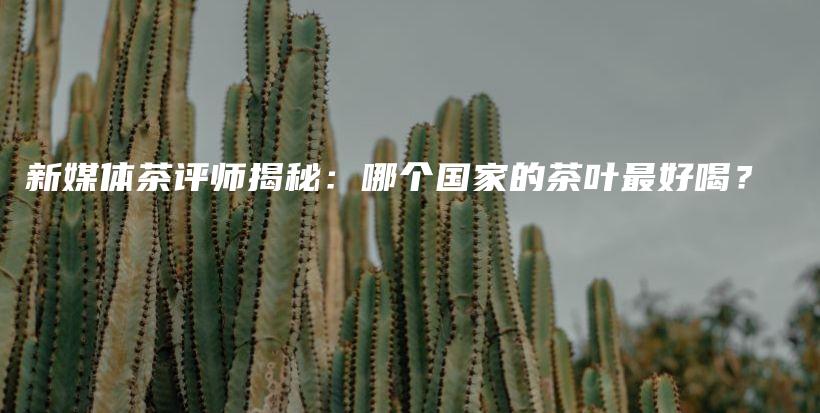 新媒体茶评师揭秘：哪个国家的茶叶最好喝？插图