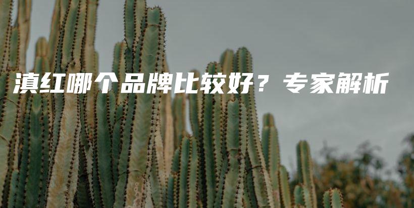 滇红哪个品牌比较好？专家解析插图