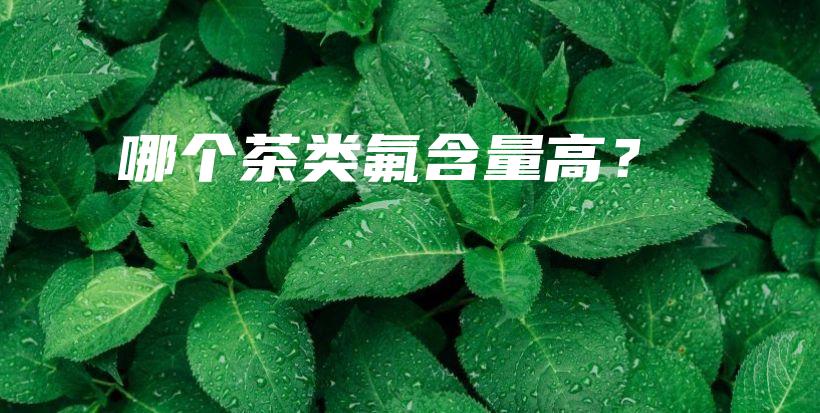 哪个茶类氟含量高？插图