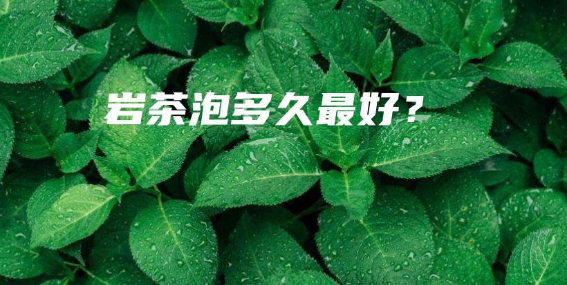 岩茶泡多久最好？插图