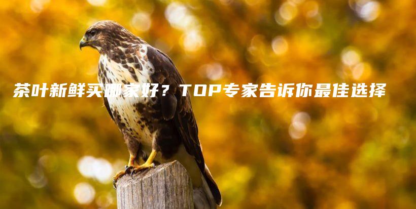 茶叶新鲜买哪家好？TOP专家告诉你最佳选择插图