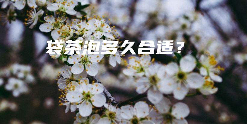 袋茶泡多久合适？插图