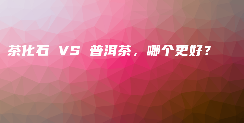 茶化石 VS 普洱茶，哪个更好？插图