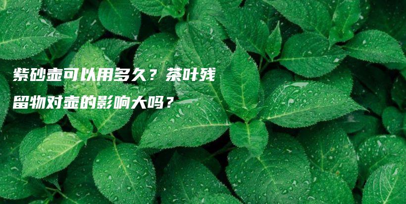 紫砂壶可以用多久？茶叶残留物对壶的影响大吗？插图