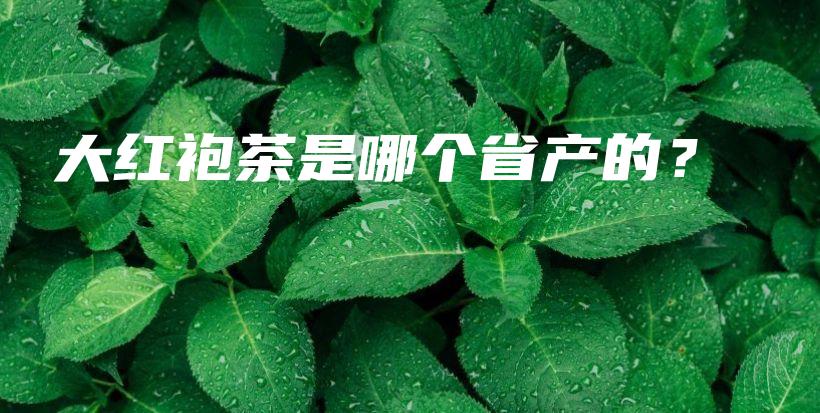 大红袍茶是哪个省产的？插图