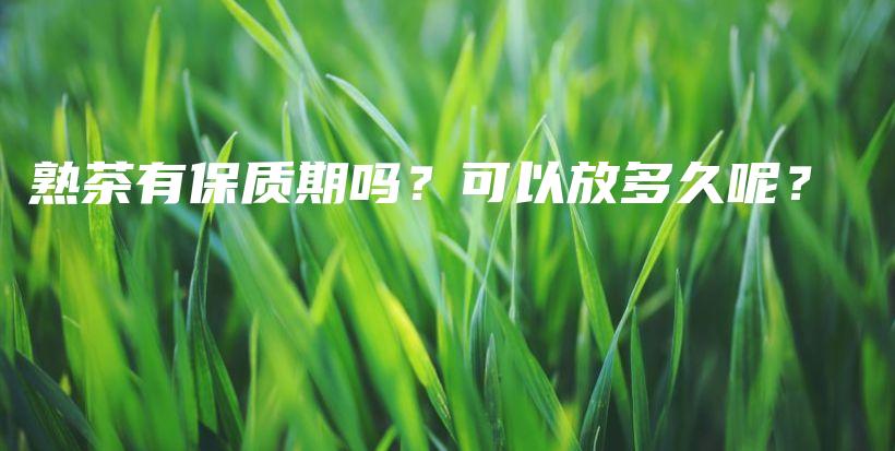 熟茶有保质期吗？可以放多久呢？插图