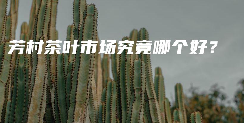 芳村茶叶市场究竟哪个好？插图