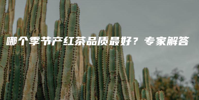 哪个季节产红茶品质最好？专家解答插图