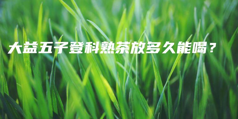 大益五子登科熟茶放多久能喝？插图