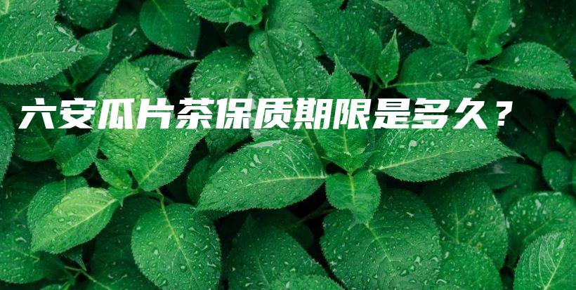 六安瓜片茶保质期限是多久？插图