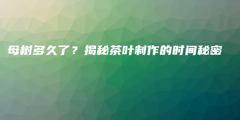 母树多久了？揭秘茶叶制作的时间秘密插图