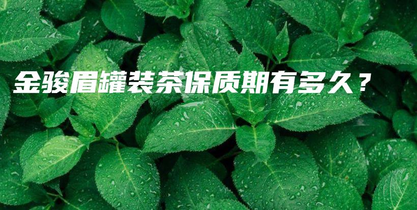 金骏眉罐装茶保质期有多久？插图