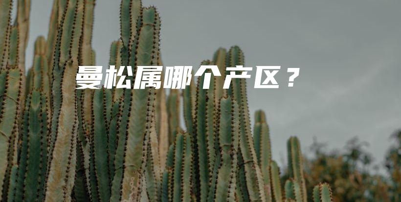 曼松属哪个产区？插图