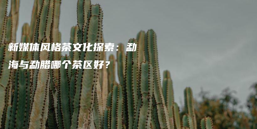 新媒体风格茶文化探索：勐海与勐腊哪个茶区好？插图