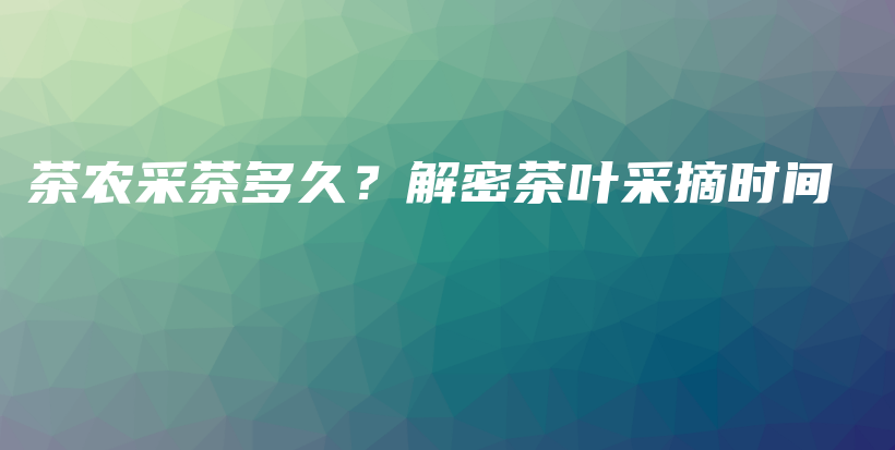 茶农采茶多久？解密茶叶采摘时间插图