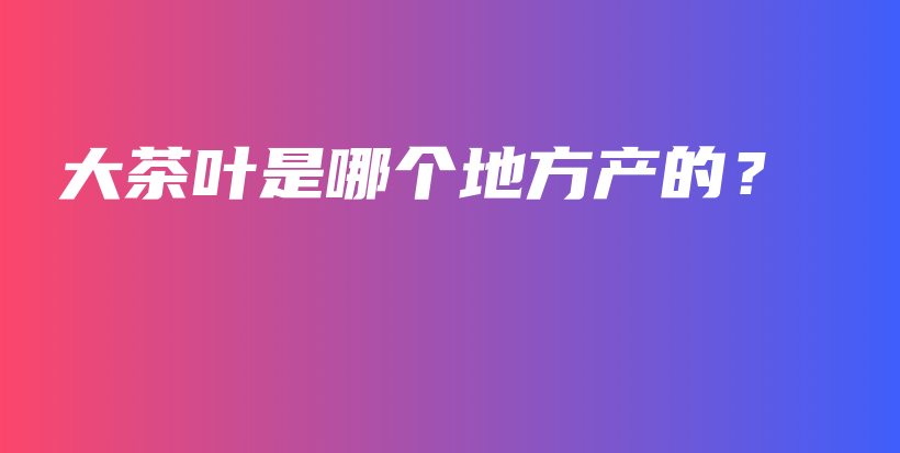 大茶叶是哪个地方产的？插图