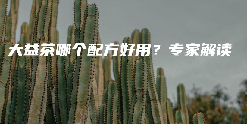 大益茶哪个配方好用？专家解读插图