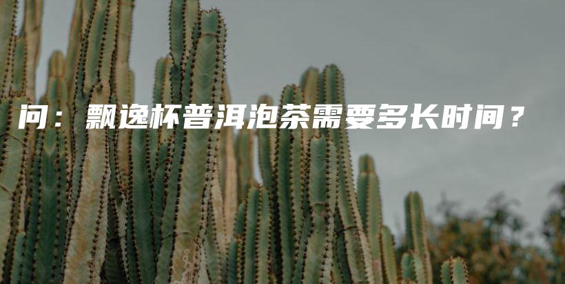 问：飘逸杯普洱泡茶需要多长时间？插图