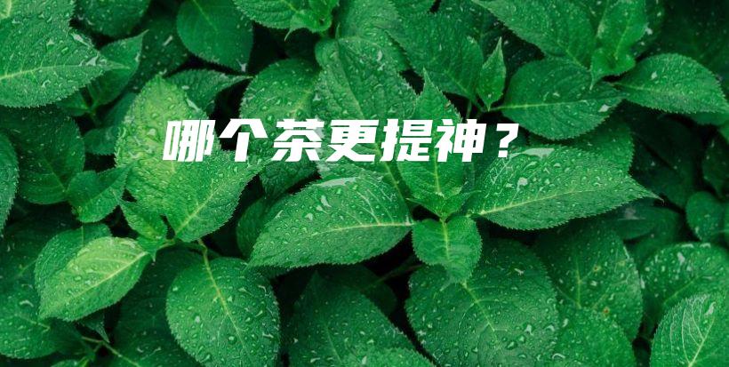 哪个茶更提神？插图