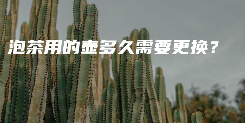 泡茶用的壶多久需要更换？插图