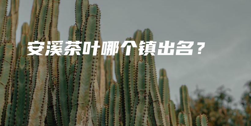 安溪茶叶哪个镇出名？插图