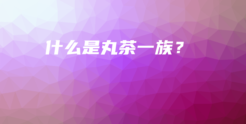 什么是丸茶一族？插图