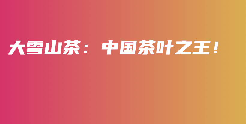 大雪山茶：中国茶叶之王！插图